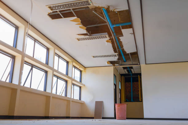 Best Flood restoration services  in Bothell West, WA
