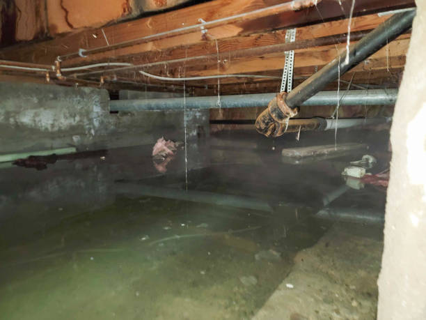 Best Emergency water damage restoration  in Bothell West, WA