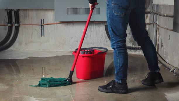 Best Ceiling water damage repair  in Bothell West, WA