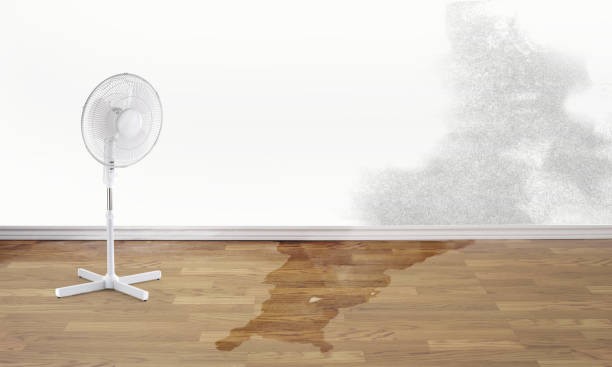  Bothell West, WA Water damage restoration Pros