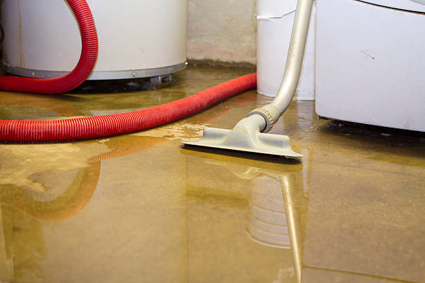 Trusted Bothell West, WA Water damage restoration Experts
