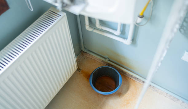 Best Water damage restoration mold remediation  in Bothell West, WA