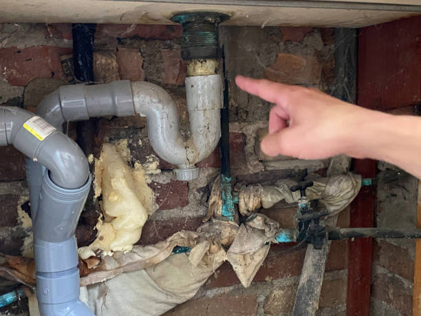 Best Fire Damage Restoration  in Bothell West, WA