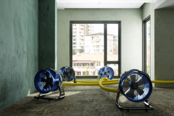 Best Residential water damage restoration  in Bothell West, WA